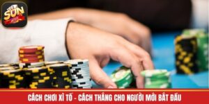 Cách Chơi Xì Tố - Cách Thắng Cho Người Mới Bắt Đầu